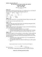 DE THI HSG HOA 8 SONG LO