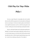 Chất Phụ Gia Thực Phẩm - Phần 1 pptx