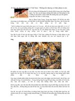 10 loài động vật nhỏ nguy hiểm ở Việt nam