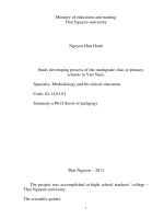 Summary a ph d thesis of pedagog study developing process of the multigrade class at primary schools in viet nam