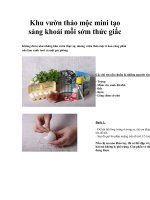 Khu vườn thảo mộc mini tạo sảng khoải mỗi sớm thức giấc doc