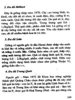 [Nông Nghiệp] Trồng Xoài, Na, Đu Đủ, Hồng Xiêm - Gs.Ts.Trần Thế Tục phần 9 potx