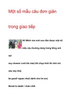 Một số mẫu câu đơn giản trong giao tiếp docx