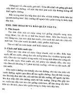 Bảo Quản Và Chế Biến Nông Sản Sau Thu Hoạch - Cisdoma phần 9 pdf