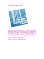 SnagIt – Những thủ thuật đáng giá ppt