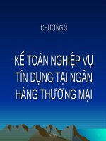 Chương 3: Kế toán nghiệp vụ tín dụng thương mại docx