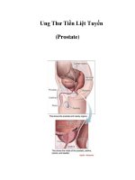 Ung Thư Tiền Liệt Tuyến (Prostate) pps