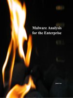 Malware Analysis for the Enterprise jason ross pdf