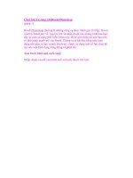 Chơi Ghi Ta cùng với Brush Photoshop (phần 1) potx