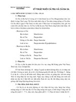 Hướng dẫn nuôi cá tra và cá ba sa