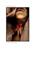 Hiêu ứng ảnh - Devil 2 docx