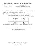 Đề thi lại Địa lí 11CB-S2