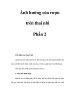 Ảnh hưởng của rượu trên thai nhi - Phần 2 ppt