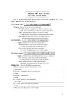 Menh de sau ''''''''wish''''''''