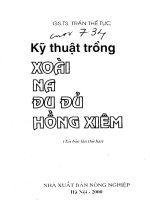 [Nông Nghiệp] Trồng Xoài, Na, Đu Đủ, Hồng Xiêm - Gs.Ts.Trần Thế Tục phần 1 potx