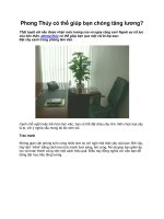 Phong Thủy có thể giúp bạn chóng tăng lương pps