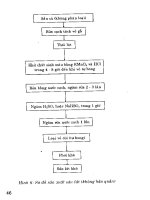 Bảo quản và chế biến sắn - Ths.Cao Văn Hùng phần 6 pdf