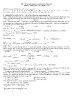 giai rat chi tiet de CD 2010