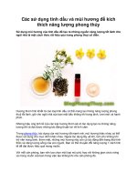 Các sử dụng tinh dầu và mùi hương để kích thích năng lượng phong thủy pptx