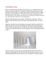 Cánh đồng kim cương pptx