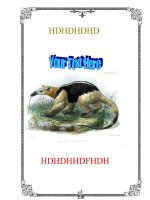 bìa sách & bìa giáo án 20