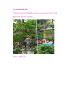 Tạo mưa cho bức ảnh pptx