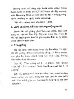 Ngư Nghiệp - Kỹ thuật sản xuất giống và nuôi tôm càng xanh - Lương Đình Trung phần 9 pptx