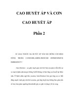 CAO HUYẾT ÁP VÀ CƠN CAO HUYẾT ÁP Phần 2 pdf