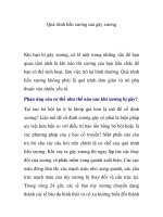 Quá trình liền xương sau gãy xương pdf