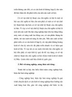 Nông công nghiệp hóa nông thôn ở nước ta trong giai đoạn đầu part2 pdf