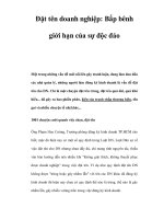 Đặt tên doanh nghiệp: Bấp bênh giới hạn của sự độc đáo ppt