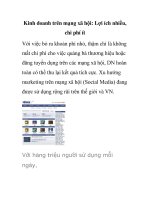 Kinh doanh trên mạng xã hội: Lợi ích nhiều, chi phí ít pptx