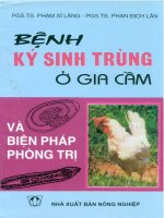 Bệnh ký sinh trùng ở gia cầm và biện pháp phòng trị - Pgs.Ts.Phạm Sĩ Lăng phần 1 pot