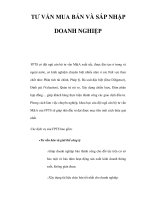 TƯ VẤN MUA BÁN VÀ SÁP NHẬP DOANH NGHIỆP F pps