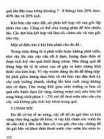 Trồng Xoài, Na, Đu Đủ, Hồng Xiêm - Gs.Ts.Trần Thế Tục phần 10 pot