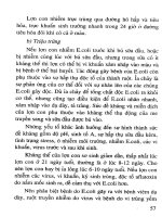 Cai Sữa Sớm Và Nuôi Dưỡng Lợn Con - Ks.Nguyễn Văn Hiền phần 8 potx