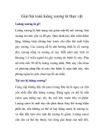 Giải bài toán loãng xương từ thực vật pdf