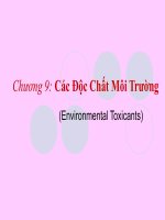 Chương 9 - Giáo trình độc học môi trường potx