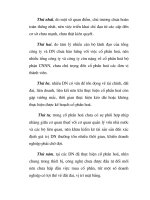 Cổ phần hóa DNNN chưa chú trọng đến cổ phần hóa các đơn vị thành viên part2 pptx