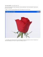 Hiêu ứng ảnh - Tranh khắc gỗ docx