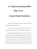 Cơ Nguyên Đau Đường Hầm Ống Cổ Tay (Carpal Tunnel Syndrome) pptx