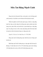 Siêu Âm Động Mạch Cảnh pps