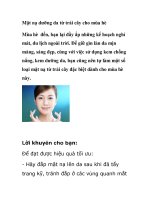 Mặt nạ dưỡng da từ trái cây cho mùa hè pptx