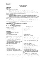 Giáo Án Tiếng Việt Lớp 3_Tuần 17 docx