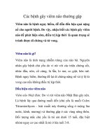 Các bệnh gây viêm não thường gặp docx