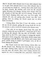 Kỹ Thuật Thâm Canh Cây Mía - Ts. Lê Hồng Sơn phần 10 potx