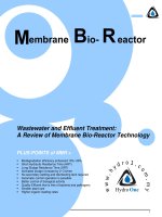 Xử lý nước thải bằng công nghệ sinh học ppsx