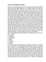 21 XEM CÁC SAO BỔN MẠNG CỦA MÌNH