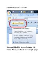 Copy định dạng trong Office 2003 potx