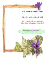 Bài 8: Tại sao cần ăn phối hợp đạm động vật và đạm thực vật? khoa học 4